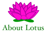 About Lotus